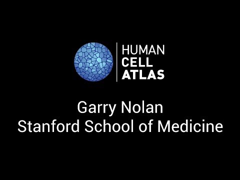 Garry Nolan at the Human Cell Atlas Computational Methods meeting - Stockholm, 1-2 June 2017