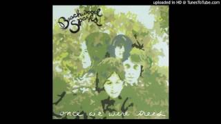 Beachwood Sparks - The Sun Surrounds Me