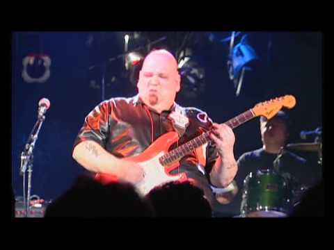 Popa Chubby - I Can't See the Light of Day (Live)