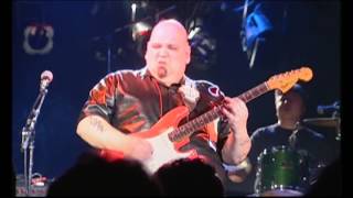 Popa Chubby - I Can&#39;t See the Light of Day (Live)