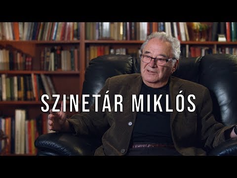 SZINETÁR MIKLÓS PORTRÉ