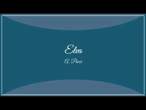 Pucci A. - marcia sinfonica "Elva"