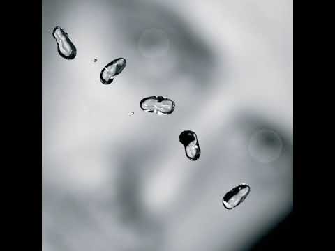 06   The Barry Williams Show