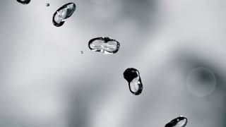 06   The Barry Williams Show