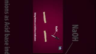 #Acids,Bases and Salts | Activity 2.2 (Practical) | Class10 science | CH- 2 |  ncert  #CBSE syllabus