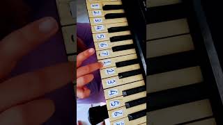 Download lagu lagu Gugur Bunga piano😞 mp3 Download lagu lagu Gugur Bunga piano😞 mp3