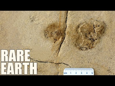 Does this Footprint Prove Humans Originated in Europe?