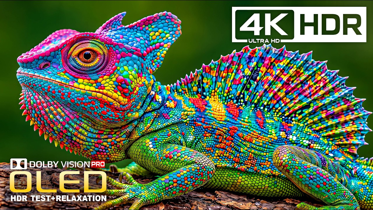 Most Beautiful 4K Video in the World | Epic Dolby Vision Nature OLED HDR TEST | 8K Ultra HD TV