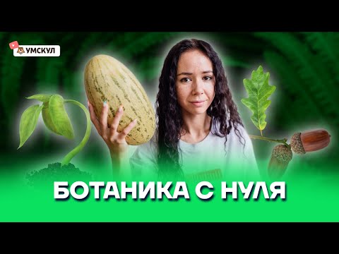 Ботаника с нуля | Биология ЕГЭ 2022 | Умскул