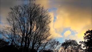 SOLSTICE CHRIS COCO MIX