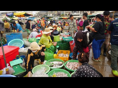 Amazing Site Distribute Dry Fish, Fish & Seafood - Daily Lifestyle of Vendors Selling Fish & More