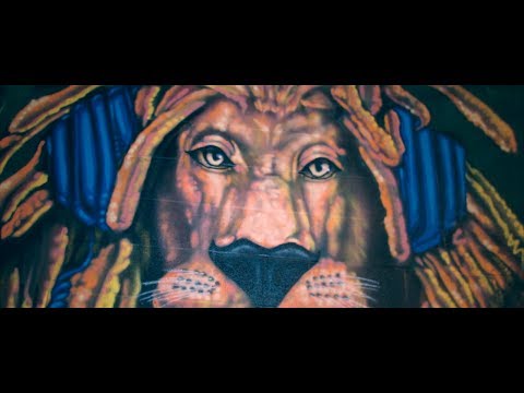 Fonzerelli Dibiase - FAN (Official Video) #DirectedByRome