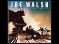Joe Walsh Here We Are Now