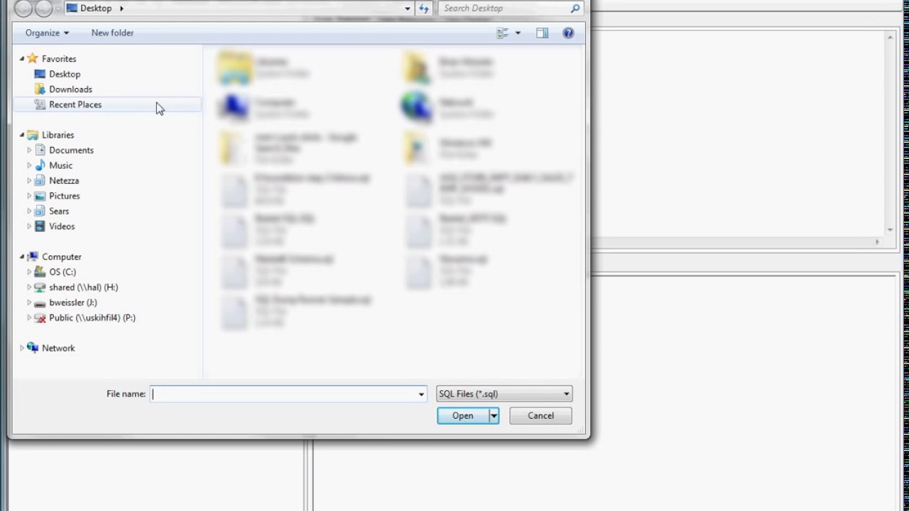 Aginity Netezza Workbench  SQL Dump Runner Tutorial