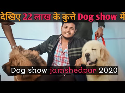 Dog Show Jamshedpur। Dog show by Tata Steel। देखिए 22 लाख के कुत्ते जमशेदपुर में।।