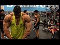 Regan Grimes - Road to Arnold Classic Brazil 12 Days Out