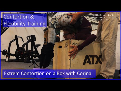 106 Flexyart Contortion Training: Super Chest on the Box - Also for Yoga, Pole, Ballet, Dance People