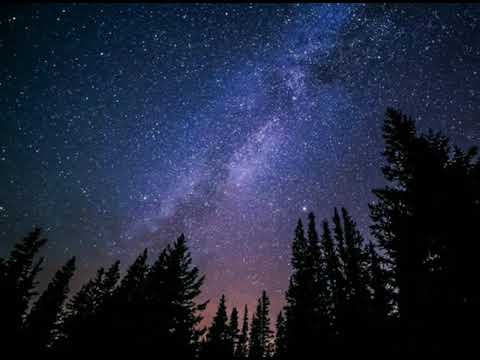 Swan Williams & Martin Gallop_Swahili