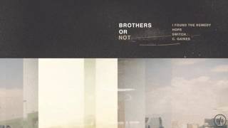 Brothers or Not - I Found the Remedy