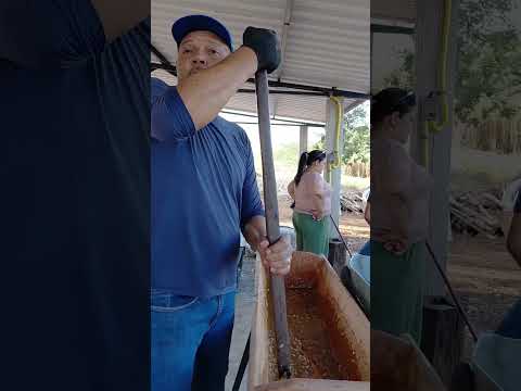 Fabricação de rapadura em Oliveira de Fatima   Tocantins