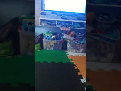 los backyardigans el surf es la moda ep 15