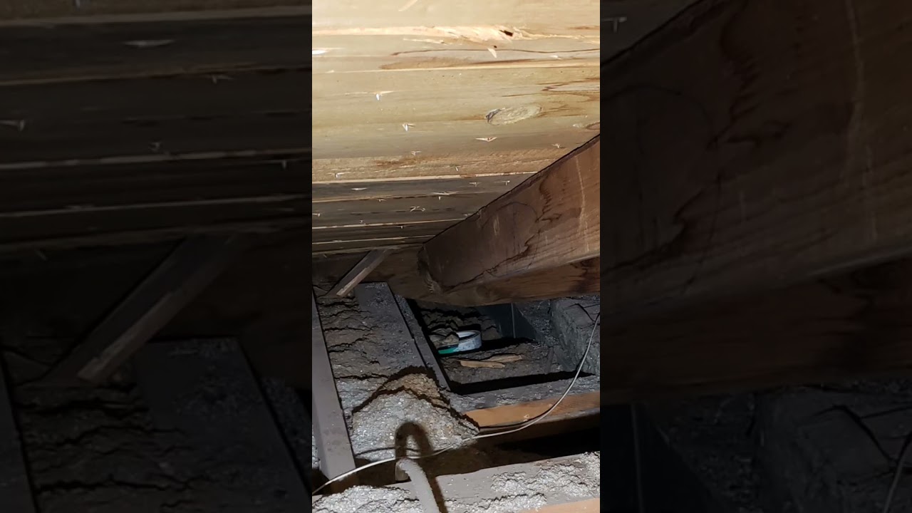 Professional Roof Repair