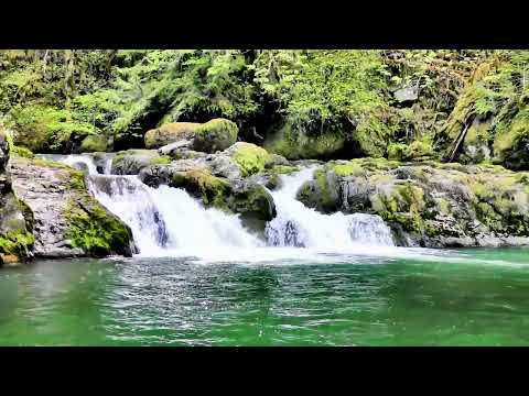 Relaxing/soothing Music#relaxing #stressrelief #meditation #sleep #piano #peace #music #nature   