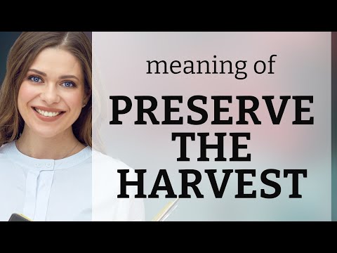 Preserving the Harvest: A Guide to Keeping Your Foods Fresh Longer