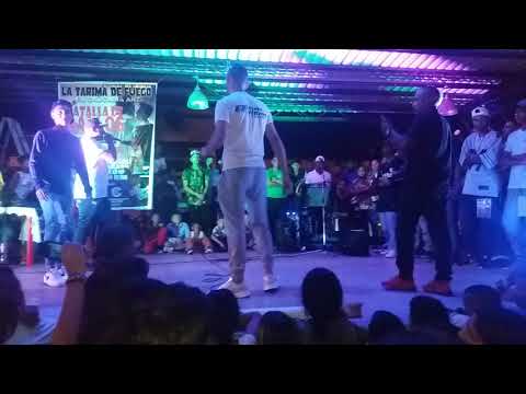 pelea de gallos caucásia