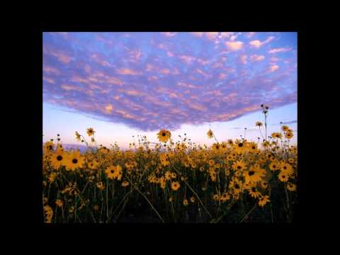 Jes - Heaven (Orange Project del Sol Interpretation)