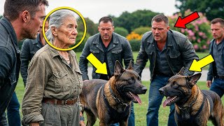 90-Year-Old Female Veteran Threatened By Outlaws, Until Her K9 Dogs Show No Mercy