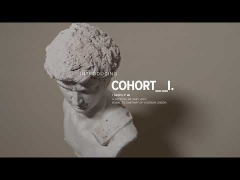 INTRODUCING THE COHORT__I / a model overview