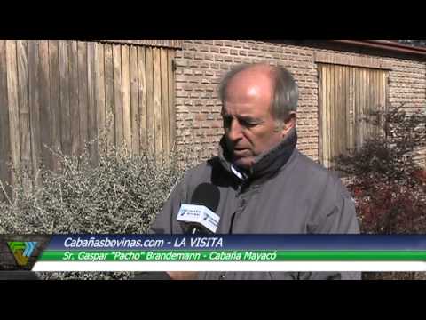 Cabañasbovinas.com - Pacho Brandemann