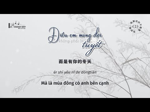 [Vietsub] Điều em mong đợi không phải là tuyết (我期待的不是雪) - Trương Diệu Cách (张妙格) - Hot Douyin