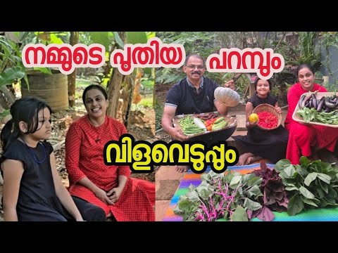 പറമ്പും കൃഷിയും ഒക്കെയായി നടന്നാൽ മതിയോ  |Family  |Harvest #Tips #Gardening #entertainment 