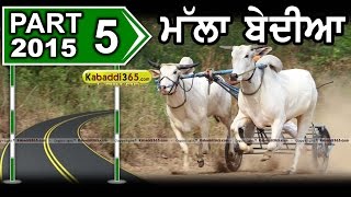 (1) Mallan Bedian (Nawanshahr) Ox Race 28 May 2015