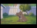 Scene From Lady And The Tramp 2 Scamp Tramp Finnish Fandub With Ctiiwolf