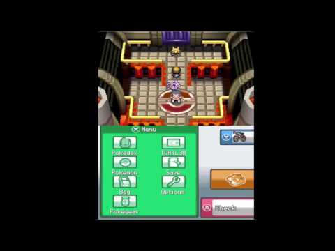 Pokemon Storm Silver Elite Four (team lvl 55)