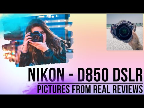 Have You Ever Wondered How Pictures From Nikon D850 Look Like On Your TV? Real Review Pictures