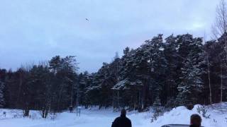 preview picture of video 'Red Bull plane crash in lake Pyhäjärvi'
