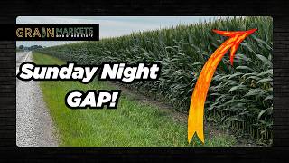 Corn Prices GAP Higher on ZERO RAIN Forecast