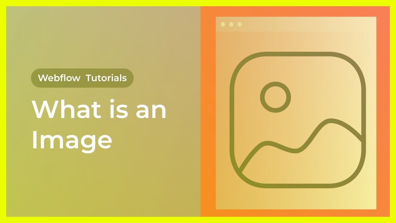 What is Image Element & Assets Panel in Webflow