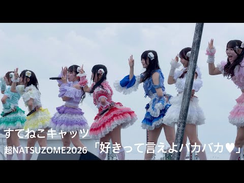 動画のタイトルなど