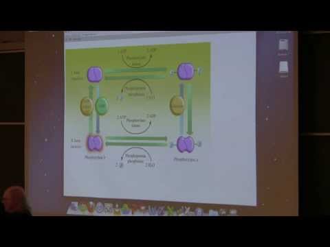 Kevin Ahern's BB 350 (Citric Acid Cycle) 2014 - #30