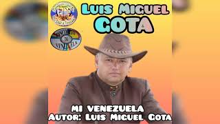 Video Mi Venezuela de Luis Miguel Gota