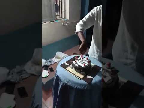 Birthday celebration