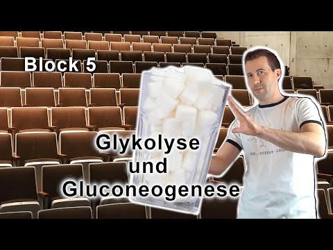 Grundvorlesung "Uni-Version" - Block 5: Glykolyse und Gluconeogenese