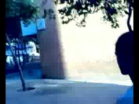 gitano vs delfi (gran kali) barceloneta