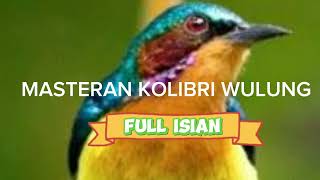 Download lagu TEMBAKAN KOLIBRI WULUNG GACOR // FULL ISIAN mp3 Download lagu TEMBAKAN KOLIBRI WULUNG GACOR // FULL ISIAN mp3
