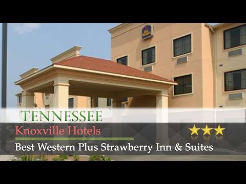 Best Western Plus Strawberry Inn & Suites - Knoxville Hotels, Tennessee